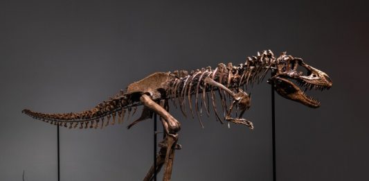 Stranger Things! Gli oggetti più curiosi passati all’asta nel 2022 stranger things asta