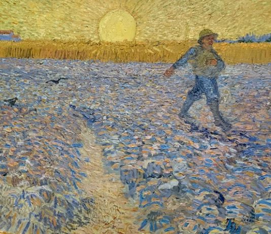 Nello spirito della natura: Vincent Van Gogh a Palazzo Bonaparte di Roma Van Gogh Palazzo Bonaparte