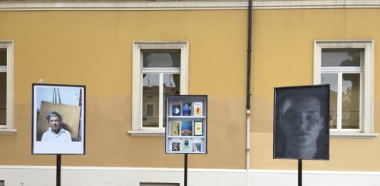 Note di sguardi, appunti fotografici tra l’Emilia-Romagna e Berlino