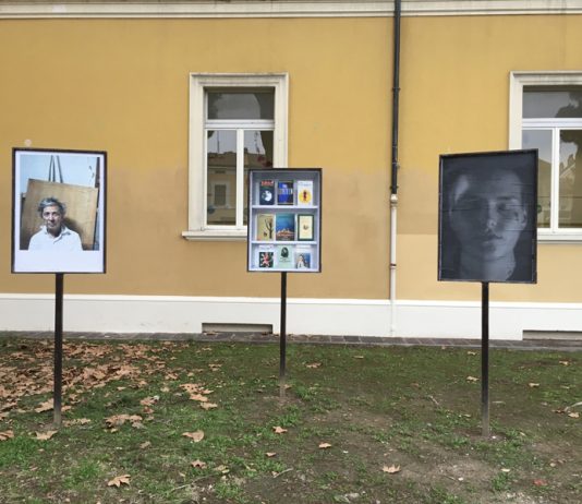 Note di sguardi, appunti fotografici tra l’Emilia-Romagna e Berlino