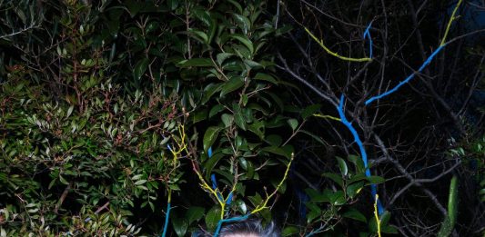 Other identity #43. Altre forme di identità culturali e pubbliche: Cosimo Terlizzi