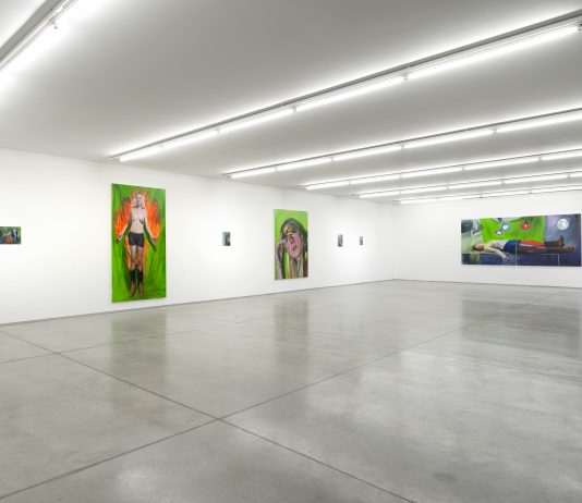 ‘Mirages’: Jenna Gribbon alla Collezione Maramotti, Reggio Emilia