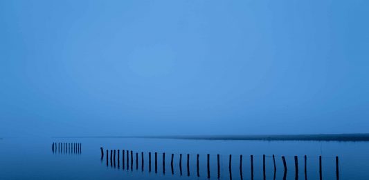 Maxime Alexandre TEMPO Essenziali in solitudine dal 19 gennaio a Palazzo Palumbo Fossati di Venezia