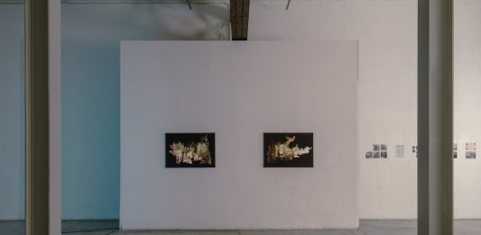 Careof, a Milano, presenta “Il cielo stellato” di Caterina Erica Shanta