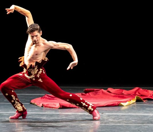 In Scena: gli spettacoli e i festival della settimana, dal 23 al 29 gennaio