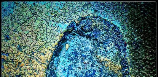 Luca Lionello, Camminare La Terra – Canova22