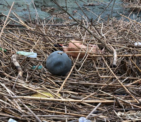 Seppellirsi tra i detriti per denunciare l’inquinamento ambientale: l’ultima performance di Nicola Mette Nicola Mette, Foce, 2022