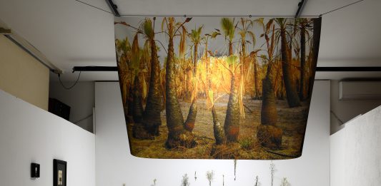 Uomo Natura: quattro sguardi d’artista sull’ambiente, in mostra a Pesaro