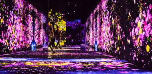 Le nuove tecnologie al servizio del patrimonio culturale. Intervista a Massimiliano Zane