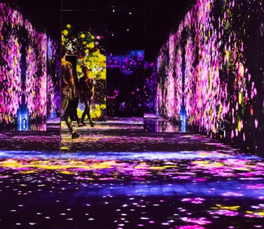 Le nuove tecnologie al servizio del patrimonio culturale. Intervista a Massimiliano Zane