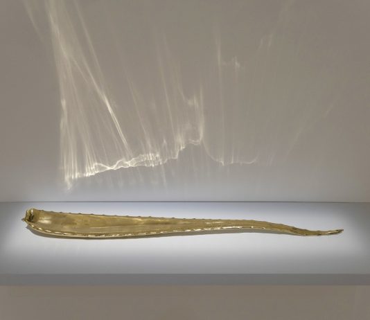 Arte circolare: CONAI porta al MAXXI di Roma dieci artisti per la sostenibilità