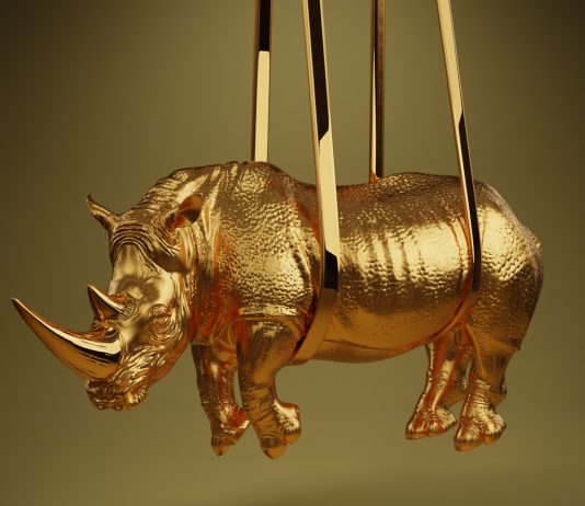 Un rinoceronte NFT: il progetto di Stefano Bombardieri, da Brescia a Bologna