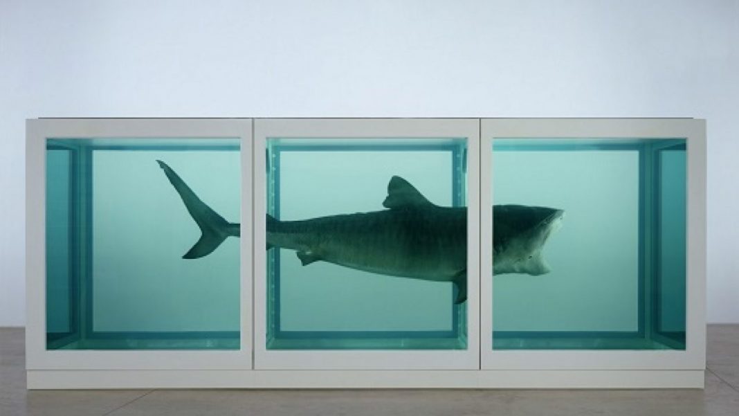 hirst squalo mercato arte libri
