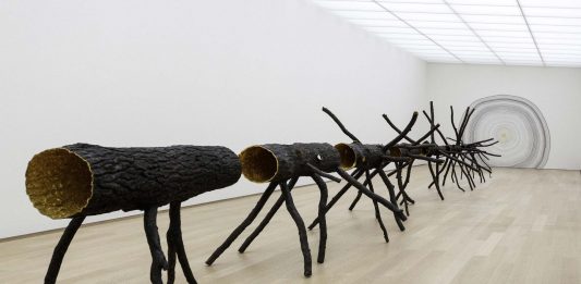 Da Rubens a Penone, nel segno della natura: il 2023 di Galleria Borghese