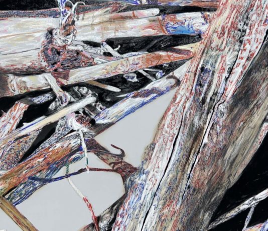 Nicola Rotiroti, Tratto da una storia vera – Kou Gallery