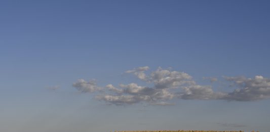 Amate terre e sognanti: a Bologna, il progetto fotografico di Anna Rosati Anna Rosati, Amate terre, 2019/2022