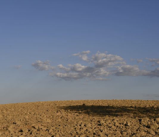 Amate terre e sognanti: a Bologna, il progetto fotografico di Anna Rosati Anna Rosati, Amate terre, 2019/2022