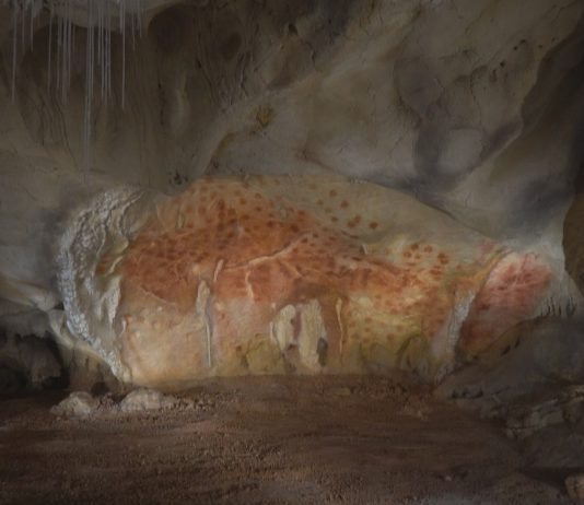 Art Night, su Rai 5 la grande storia dell’arte raccontata attraverso i colori