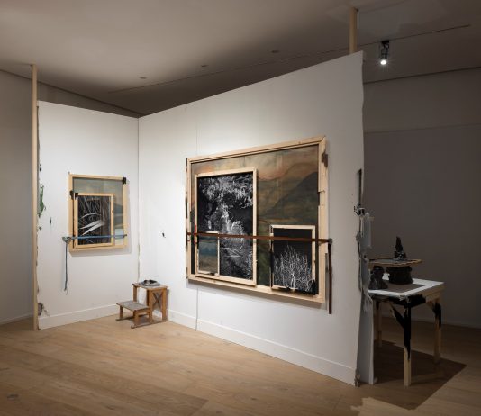 15 opere per Castello di Rivoli e GAM: le acquisizioni di Fondazione CRT