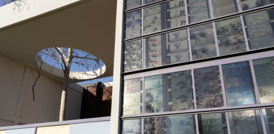 Under the Shadow of the Tree: Jonas Mekas in mostra a Bologna