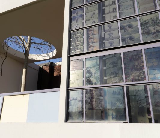 Under the Shadow of the Tree: Jonas Mekas in mostra a Bologna