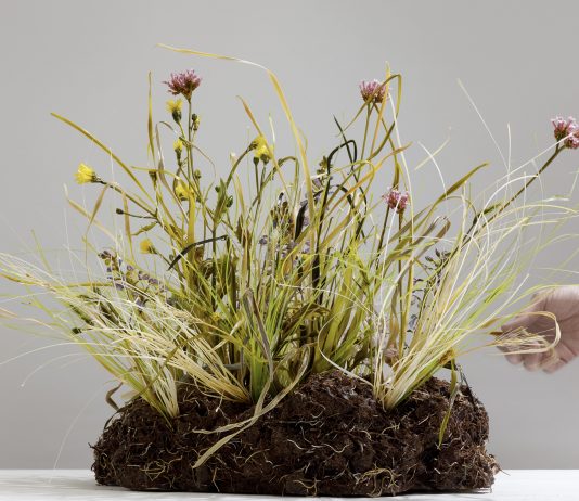 TEFAF 2023, anche due new entries italiane tra le gallerie di Maastricht