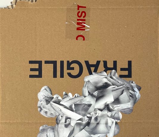 La pelle è un paesaggio: Dario Neira in mostra da Metroquadro, a Torino