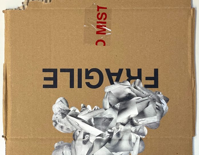 NEIRA_FRAGILE (skinscape)_2023_mixed media, collage on cardboard_46x35cm. Courtesy galleria metroquadro