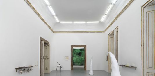 La Galleria Alfonso Artiaco ospita “An accounting” di Maria Thereza Alves