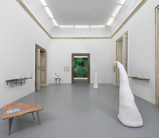 La Galleria Alfonso Artiaco ospita “An accounting” di Maria Thereza Alves