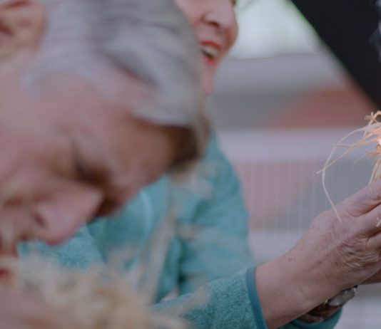 Bologna Art to Date #9. Le mostre e le inaugurazioni di oggi