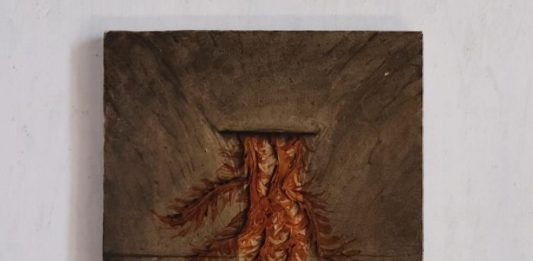 Portfolio alla Quadriennale di Roma: la natura ibrida di Andreas Zampella