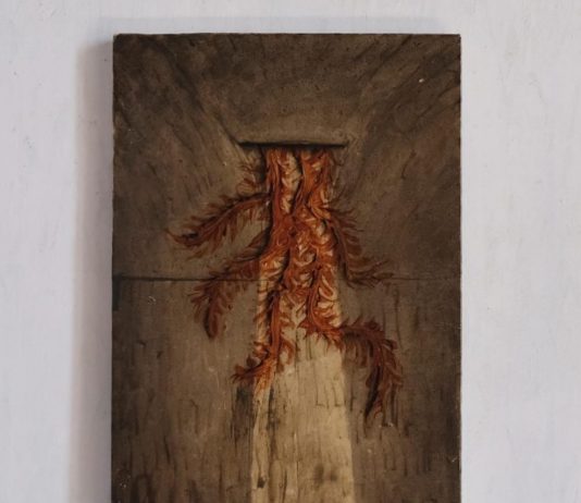 Portfolio alla Quadriennale di Roma: la natura ibrida di Andreas Zampella