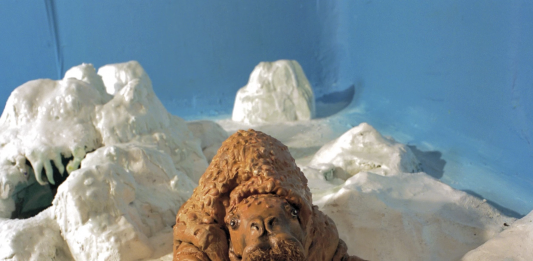 Bologna Art to Date #7. Le mostre e le inaugurazioni di oggi