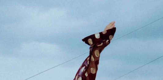 exibart onpaper n. 119 è uscito il nuovo numero