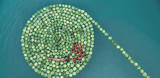 Un mare che brucia: Sigalit Landau all’Israel Museum di Gerusalemme