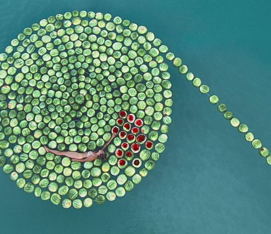 Un mare che brucia: Sigalit Landau all’Israel Museum di Gerusalemme