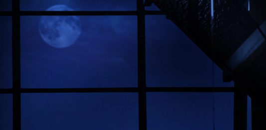 La guida di Jan Fabre per il performer è un manifesto di poetica