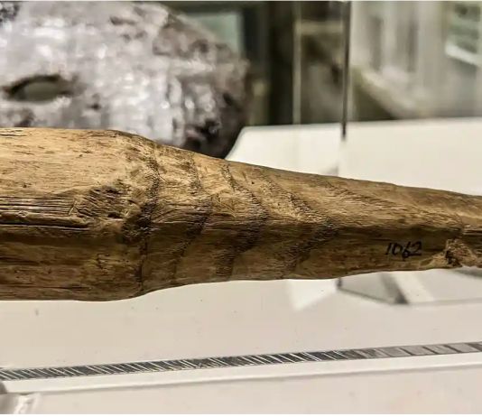 In Gran Bretagna il primo sex toy dell’antica Roma: l’ipotesi di un nuovo studio