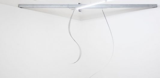 Fabrice Bernasconi Borzì alla Galleria Massimo Ligreggi