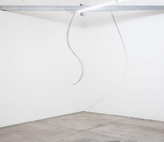 Fabrice Bernasconi Borzì alla Galleria Massimo Ligreggi