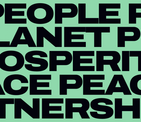 I Musei d’arte contemporanea e lo sviluppo sostenibile: una pratica necessaria