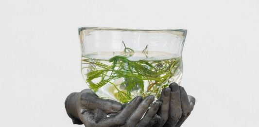 Ci sono maree nel corpo. La mostra di Hannah Rowan da C+N Gallery CANEPANERI