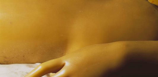 Le Cere Anatomiche della Specola viste da David Cronenberg: la mostra da Fondazione Prada