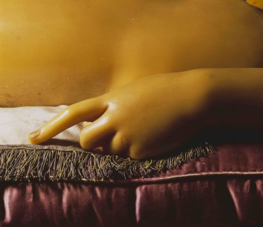 Le Cere Anatomiche della Specola viste da David Cronenberg: la mostra da Fondazione Prada