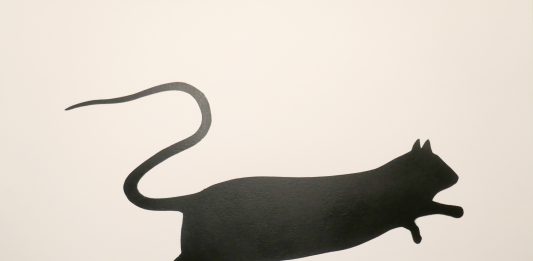 Urban Roots: a Roma, la mostra dedicata ai linguaggi della strada mostra