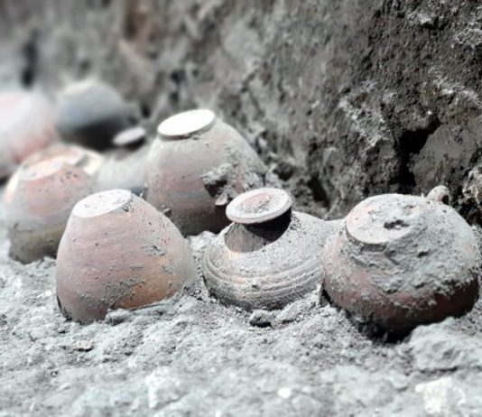 Nuove scoperte nell’antica Pompei: si amplia lo scavo di Civita Giuliana