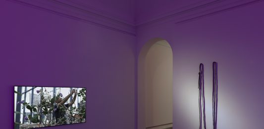 Galleria Eugenia Delfini ospita “Daisy Chain” di Erin Johnson