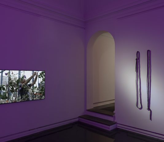 Galleria Eugenia Delfini ospita “Daisy Chain” di Erin Johnson