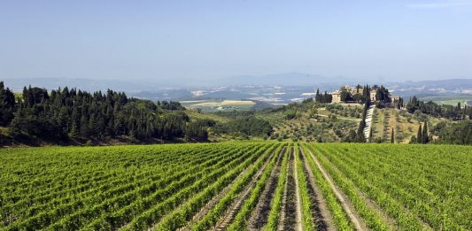 Artisti per Frescobaldi: una nuova edizione per il progetto che unisce arte e vino